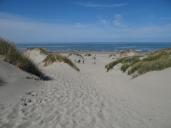 Les dunes d'une plage sauvage du nord du Marquenterre