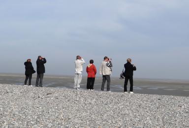 Un groupe à la pointe du Hourdel, lieu d'observation des phoques
