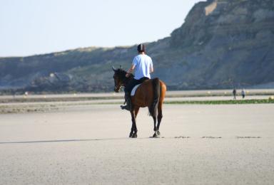Randonnée à cheval sur la plage de Wimereux.