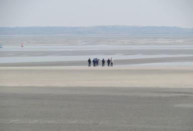A la pointe du Hourdel, lieu d'observation des phoques.Groupe d'observateurs en baie de Somme (pointe du Hourdel)